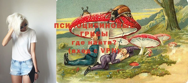 мяу мяу кристалл Весьегонск