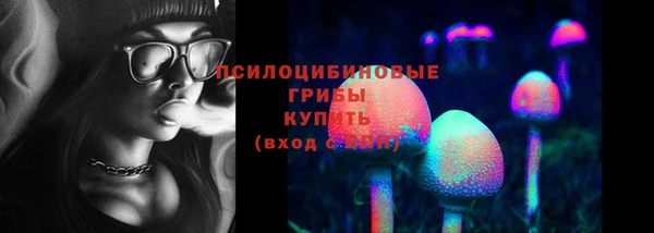 МДПВ Осташков