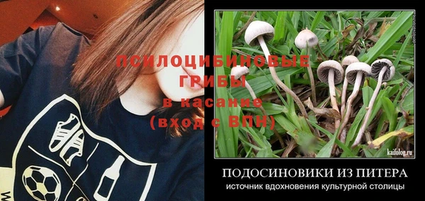 мяу мяу кристалл Весьегонск