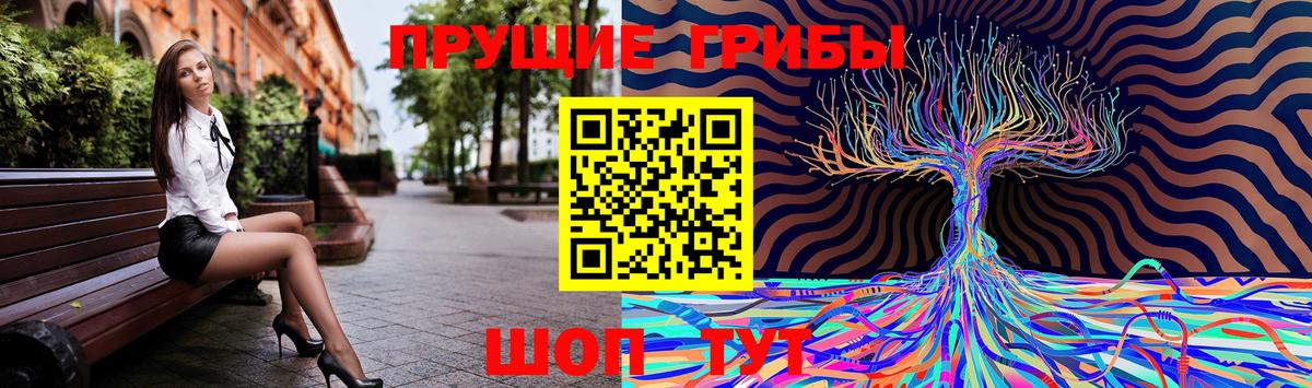 Псилоцибиновые грибы Psilocybine cubensis Балабаново