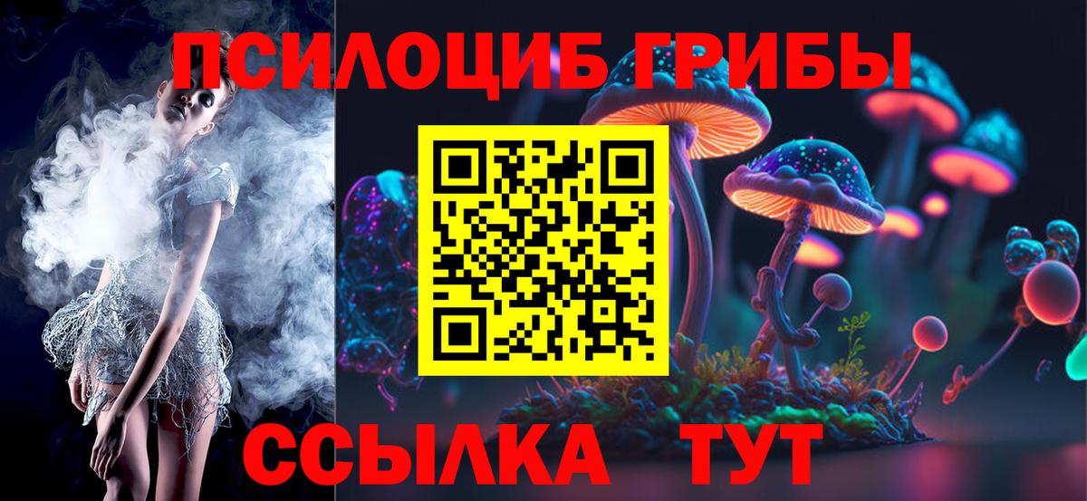 Псилоцибиновые грибы Psilocybine cubensis  Вход с VPN  Балабаново 